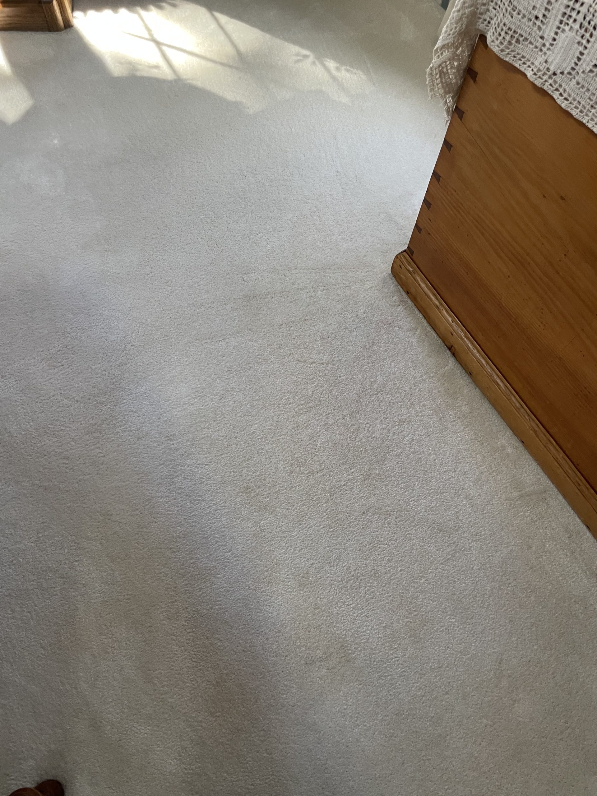Carpet Restoration Before Replacement by Great Western Carpet Care