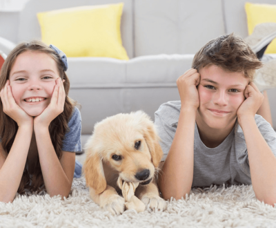 Carpet Cleaning Mistakes To Avoid - dog by Great Western Carpet Care