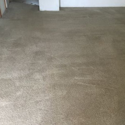 Carpet Cleaning Vs Replacement by Great Western Carpet Care