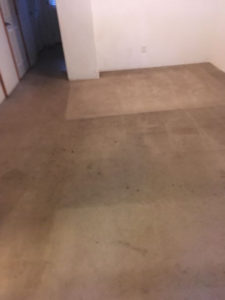 Before And After Gallery - 242 orig by Great Western Carpet Care