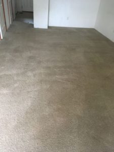 Before And After Gallery - 244 orig by Great Western Carpet Care