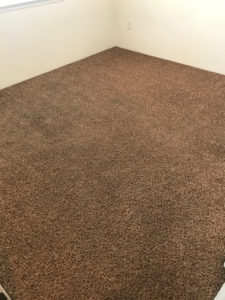 Before And After Gallery - image 0545 orig by Great Western Carpet Care