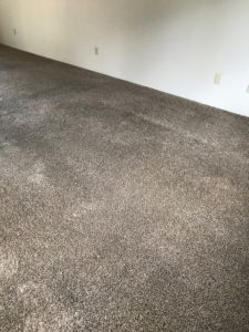Before And After Gallery - image 0916 orig by Great Western Carpet Care