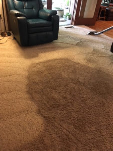 Before And After Gallery - image 1935 orig by Great Western Carpet Care