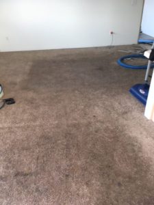 Before And After Gallery - image 2357 1 e1516808879509 orig 1 by Great Western Carpet Care
