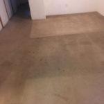 Carpet Cleaning Photo Gallery - 242 orig by Great Western Carpet Care