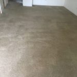 Carpet Cleaning Photo Gallery - 244 orig by Great Western Carpet Care
