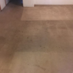 Carpet Cleaning Photo Gallery - comparebefore 1 by Great Western Carpet Care