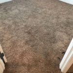 Carpet Cleaning Photo Gallery - image 0541 orig by Great Western Carpet Care