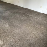 Carpet Cleaning Photo Gallery - image 0916 orig by Great Western Carpet Care