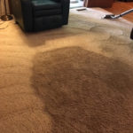 Carpet Cleaning Photo Gallery - image 1935 orig by Great Western Carpet Care