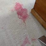 Carpet Cleaning Photo Gallery - image 1938 by Great Western Carpet Care