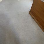Carpet Cleaning Photo Gallery - image 1939 by Great Western Carpet Care