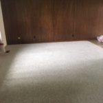 Carpet Cleaning Photo Gallery - image 2362 2 e1516808867893 orig by Great Western Carpet Care